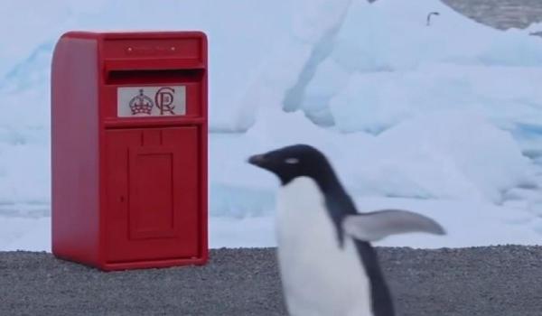 De la Palatul Buckingham la Polul Sud. Cum a ajuns o cutie poștală Royal Mail în Antarctica
