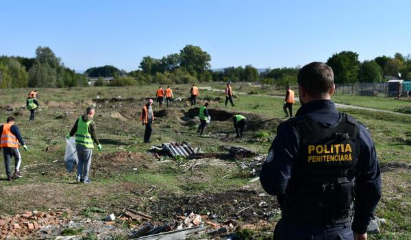 De la spart lemne la curățat terenuri. Cât costă să angajezi deținuți cu ora pentru treburile din gospodărie