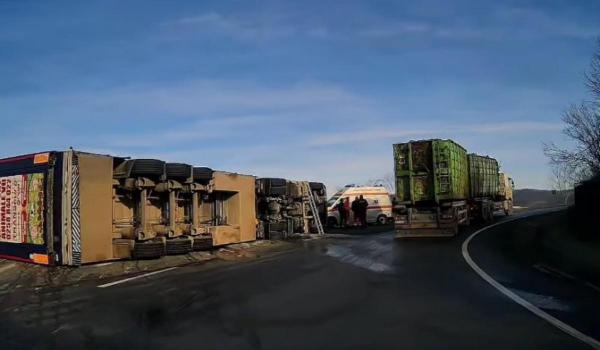 TIR încărcat cu aproape 200 de porci, răsturnat pe un drum din Cluj