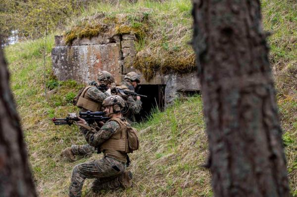 Estonia începe construcţia de buncăre şi tranşee antitanc la graniţa cu Rusia