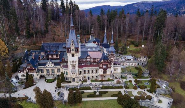 Mai mulţi copaci din Sinaia au fost doborâţi de vântul puternic. Pompierii continuă intervenţiile