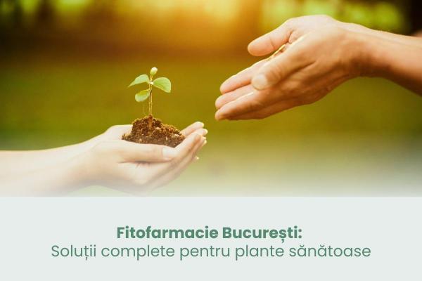 Fitofarmacie București: Soluții complete pentru plante sănătoase