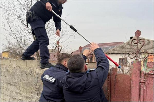 Un bărbat a sunat la 112, spunând că îi e frică de câinele lui şi că se închide în casă. A fost scos din locuinţă de jandarmi