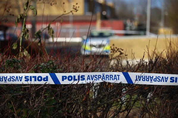 poliție Suedia