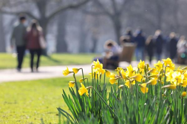 Sâmbătă, temperaturile se vor apropia de 30 de grade Celsius, în sud