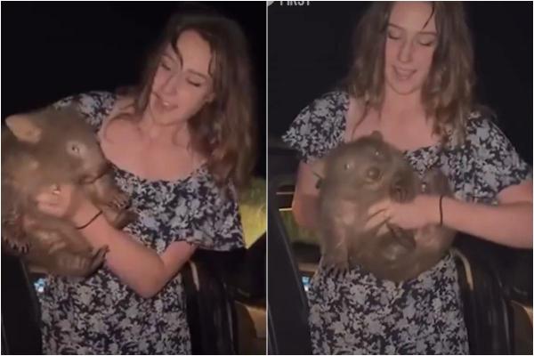 Influenceriţa filmată în timp ce lua un pui de wombat de lângă mama lui a fugit din Australia, după ce a fost ameninţată cu deportarea