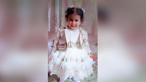 Promisiuni pentru eliminarea câinilor vagabonzi, după moartea unui copil de 2 ani în Turcia