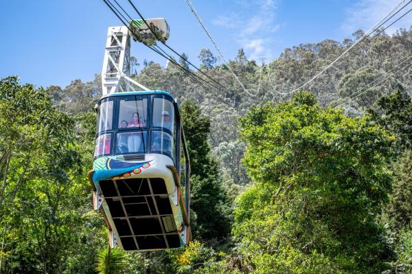 O nemţoaică şi-a uitat copilul de 4 ani în vârful muntelui şi şi-a adus aminte de el abia când telecabina a adus-o jos
