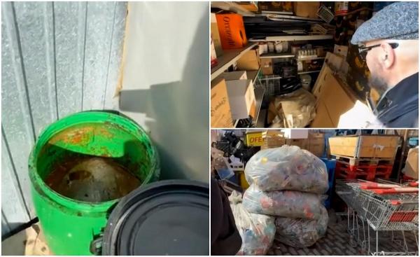 ANPC: Șobolani și gândaci care se plimbă pe mâncarea din magazine și restaurante, în Arad. "Doamne fereşte, bă"