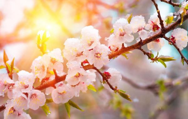 ANM a actualizat prognoza meteo pentru următoarele patru săptămâni. Vremea în România până pe 26 mai