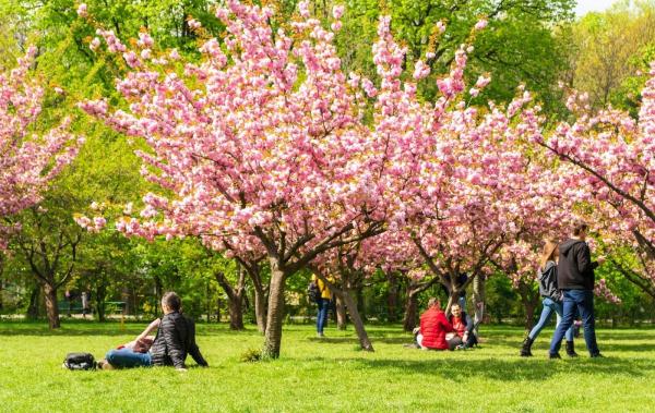 Vremea în România până pe 5 mai