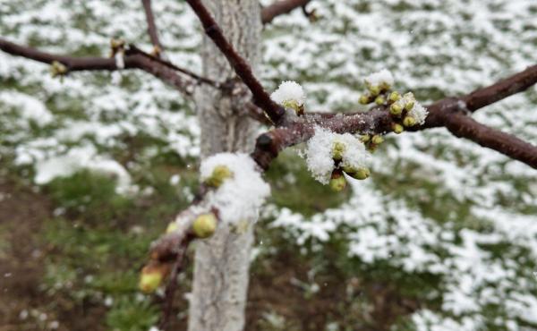 ANM a actualizat prognoza meteo pentru următoarele patru săptămâni. Vremea în România până pe 9 iunie