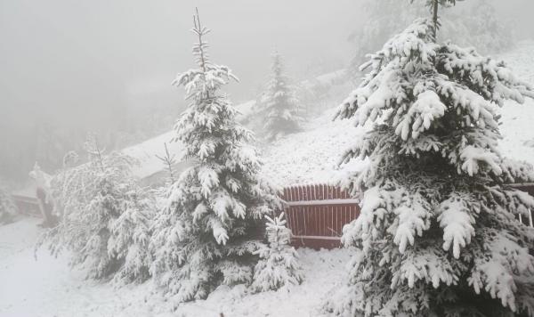 Capitala şi 12 judeţe, sub cod galben de vreme severă în următoarele ore. Lapoviță și ninsori la munte