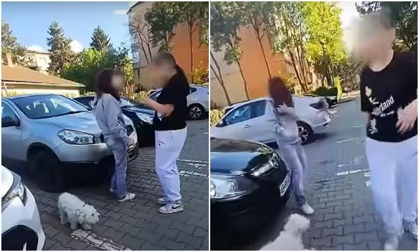 O copilă care îşi plimba câinele, bătută cu sălbăticie de o altă fată, în plină zi, pe o stradă din Alba Iulia