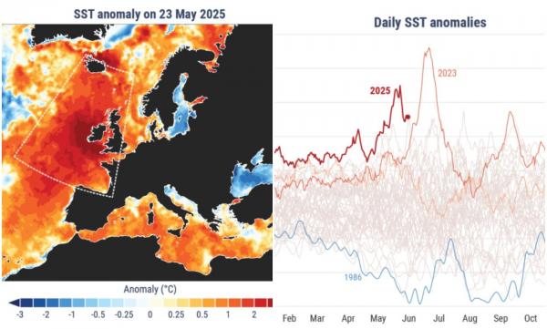 Am traversat a doua cea mai fierbinte lună mai din istorie. Iar încălzirea va continua, avertizează Copernicus