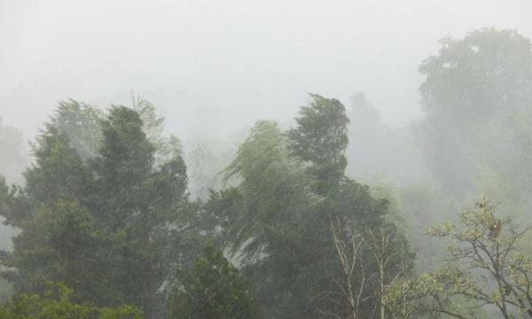 Cod galben de vreme severă emis de ANM. Vijelii puternice lovesc în 11 județe, în următoarele ore