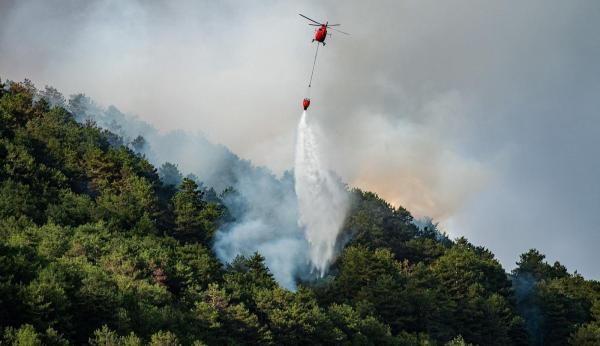 Incendii de amploare în Italia