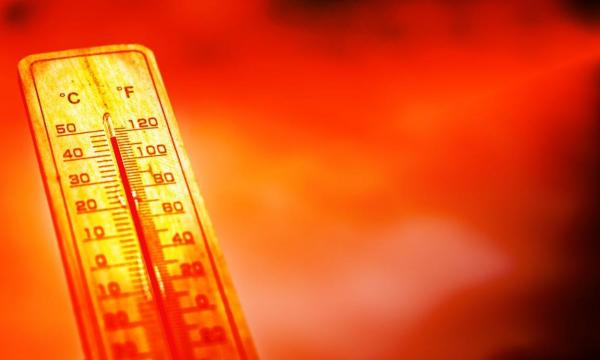 Cod roșu de caniculă, sâmbătă, în 15 județe și București. ANM anunță 43 de grade Celsius la umbră