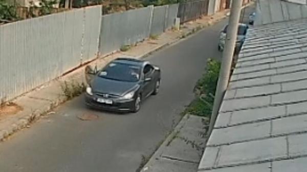 Amenda usturătoare primită de o femeie din Galaţi, după ce a aruncat din maşină doi pui de câine