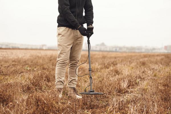 A găsit 400 de monede romane din argint. Câţi bani va primi recompensă un căutător de comori din Deva