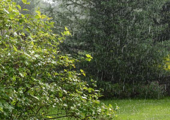 Vremea de mâine 17 august. Jumătate de ţară intră în instabilitate atmosferică. Maxime de 27 şi 35 de grade