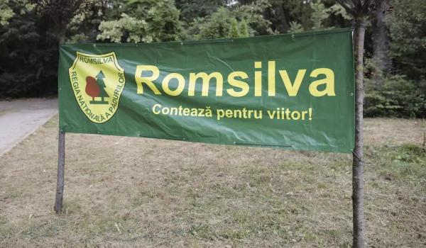 Silvicultorii protestează în faţa Ministerului Mediului. Aceştia critică proiectul de reorganizare a Romsilva