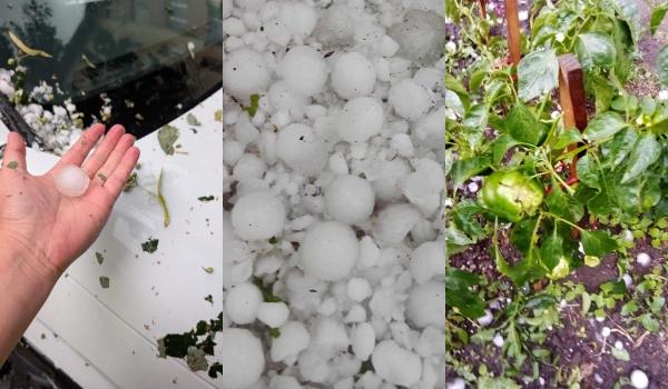 Grindină cât mingile de ping-pong în Covasna. Au fost afectate locuinţe, autoturisme şi culturi agricole