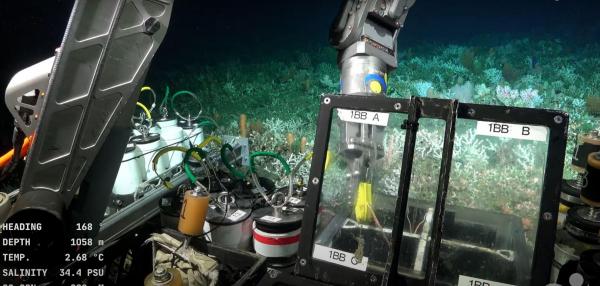 Misiunea pe fundul Atlanticului transmisă în direct care a captivat atenţia a milioane de oameni