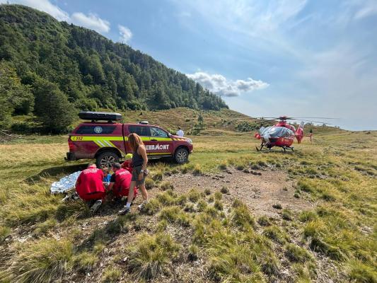 Panică în Maramureş după ce un copil de 7 ani a fost muşcat de viperă pe Creasta Cocoşului