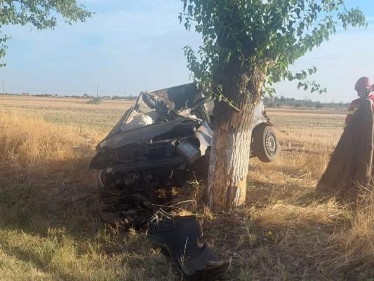 A murit la 18 ani, după ce a intrat cu mașina într-un pom pe DN54, în Olt