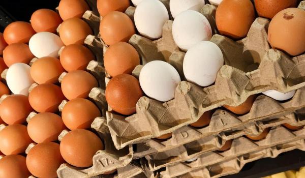 Loturi de ouă bio din Kaufland şi Mega Image, retrase din cauza riscului de contaminare cu bacteria Salmonella
