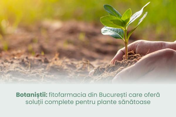 (P) Botaniștii: fitofarmacia din București care oferă soluții complete pentru plante sănătoase