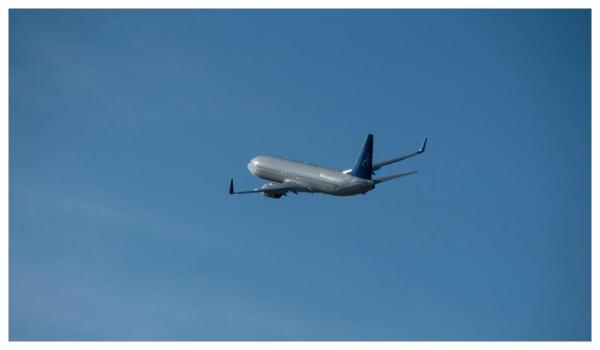 Moment rar de cooperare SUA – Iran. Administraţia Trump deportează 100 de iranieni