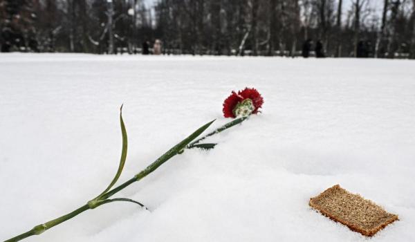 Studiu: Aproximativ 1,8 milioane de morţi, răniţi şi dispăruţi în războiul Rusiei din Ucraina