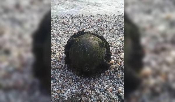 Mină marină eșuată pe plaja din Midia