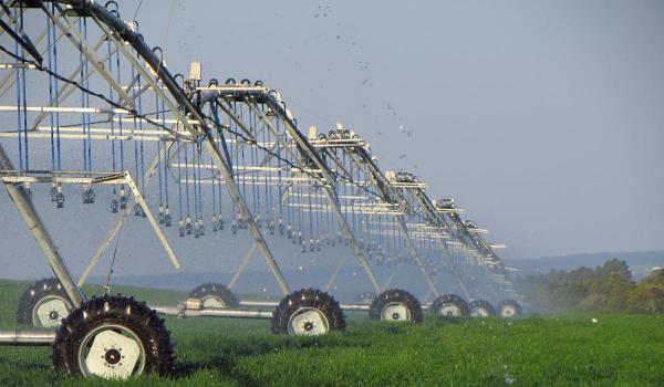 Urmările secetei în Ungaria. Apa din iazurile piscicole, folosită pentru irigarea terenurilor agricole