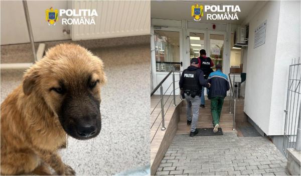 A pus un cățel într-un sac, l-a legat și l-a aruncat în râu. Bărbat de 47 de ani, reținut de polițiști