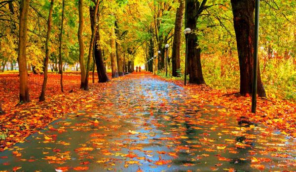 Cum va fi vremea până la mijlocul lui noiembrie. Temperaturi peste normal și ploi mai multe în prima săptămână