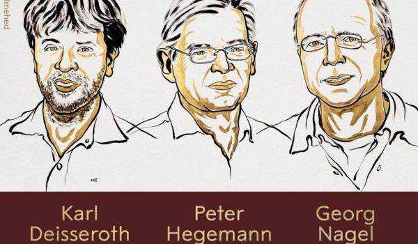 Premiul Nobel pentru Medicină: Karl Deisseroth, Peter Hegemann și Georg Nagel, premiați pentru optogenetică