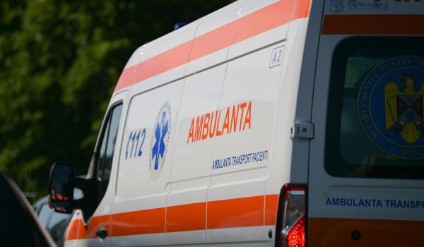 Noi cazuri de rabie, în Harghita. O pisică a atacat şi muşcat o femeie şi doi câini
