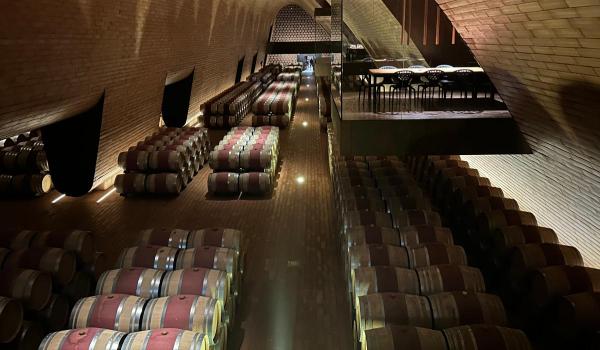 Furt în valoare de 5 mil. de € la o cramă celebră din Italia. 30.000 de sticle de vin au dispărut peste noapte