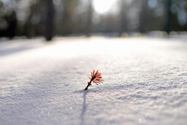 Prognoza meteo 9 februarie-9 martie. De când se încălzeşte vremea