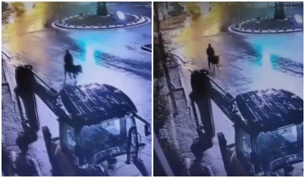 A spart un magazin de bijuterii cu un motostivuitor și a fugit călare pe un măgar. Hoţul: "Eram beat"