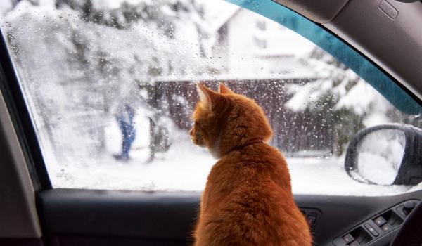 Vremea 16 februarie-1 martie 2026. Temperaturile vor oscila de la o zi la alta. Ce urmează după valul de frig