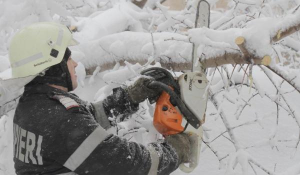 Peste 100 de intervenţii ale pompierilor pentru a îndepărta copaci doborâţi de viscol în Bucureşti şi Ilfov