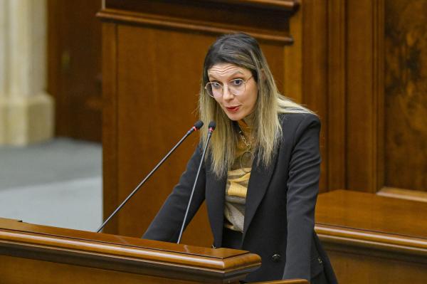 Diana Buzoianu anunţă audit la Ministerul Mediului: S-ar putea să fie făcute inclusiv concedieri