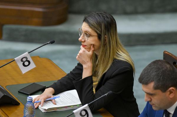 Diana Buzoianu, chemată la "Ora Guvernului" să explice blocajul de la barajul Mihăileni