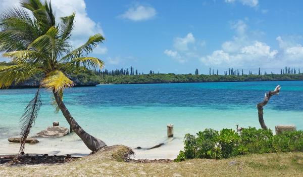 După Groenlanda, administraţia americană şi-ar putea concentra atenţia spre un teritoriu francez