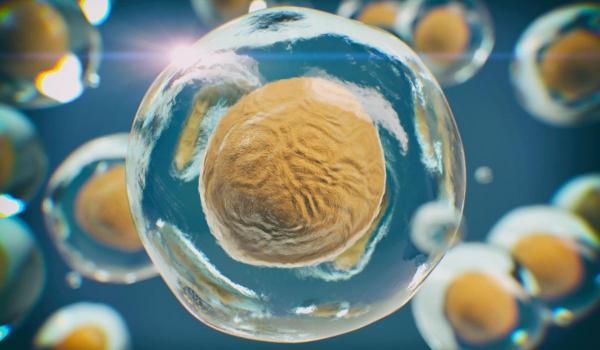 Studiu: Bărbaţii şi femeile resimt durerea diferit: "Nu este în mintea ta şi nu eşti slab"