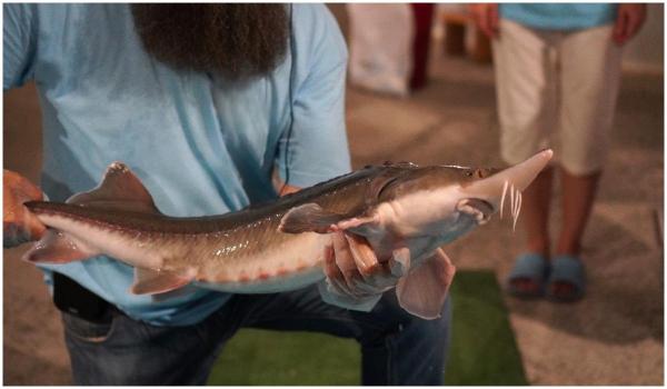 O fermă a dat lovitura cu o delicatesă care se vinde cu 8.000 de euro kilogramul